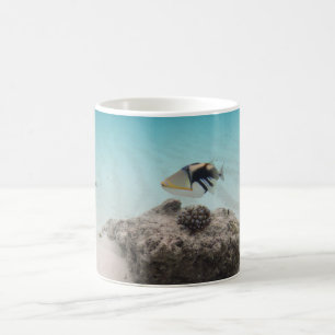 モルディブ白い砂のラグーンサンゴの魚のおみやげ コーヒーマグカップ