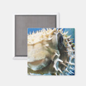 モルディブ諸島 マグネット (正面/裏面)