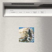 モルディブ諸島 マグネット (インサイチュ (食洗機))