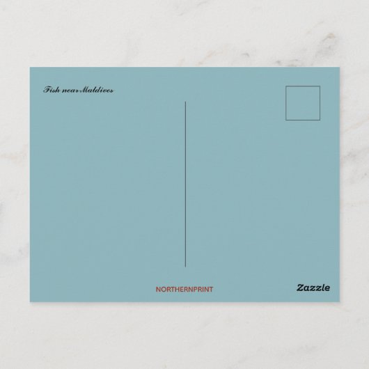 モルディブ近くの魚の群れ ポストカード (裏面)