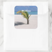 モルディブ スクエアシール (バッグ)