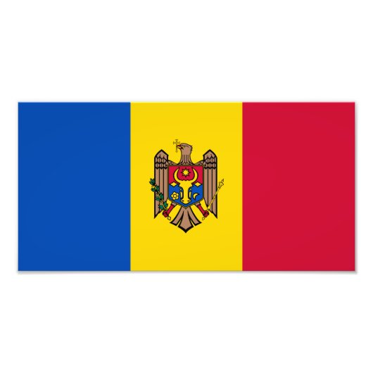 モルドバ国旗 フォトプリント            (正面)