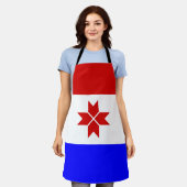 モルドビア国旗 エプロン (着用した状態)
