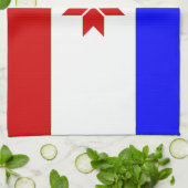 モルドビア国旗 キッチンタオル (折り畳み)