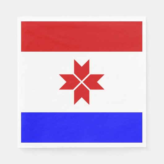 モルドビア国旗 スタンダードランチョンナプキン (正面)