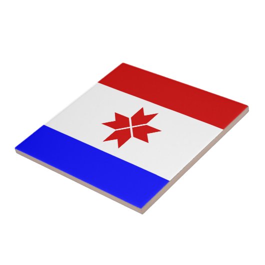 モルドビア国旗 タイル (側面)