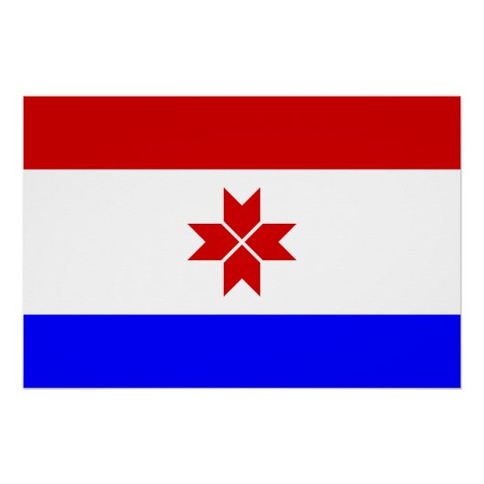 モルドビア国旗 ポスター (正面)