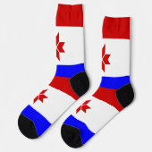 モルドヴィアの旗 ソックス (左)