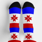 モルドヴィアの旗 ソックス (上部)