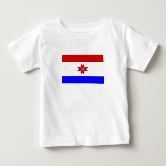 モルドヴィアの旗 ベビーTシャツ (正面)