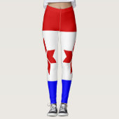 モルドヴィアの旗 レギンス (正面)