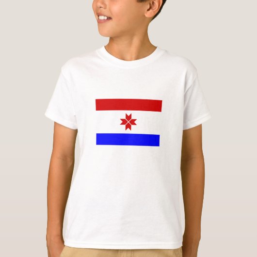 モルドヴィアの旗 Tシャツ (正面)