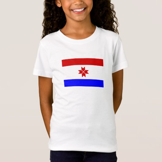 モルドヴィアの旗 Tシャツ (正面)
