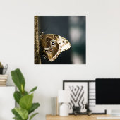 モルホペレイデスプリント ポスター (ホームオフィス)