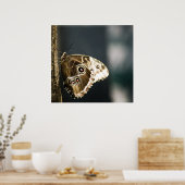 モルホペレイデスプリント ポスター (キッチン)