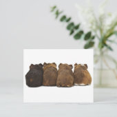 モルモットお尻はがき ポストカード (スタンド正面)