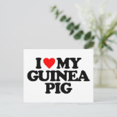 モルモットが大好き ポストカード (スタンド正面)