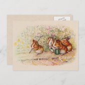 モルモットが庭に植え込む ポストカード (正面/裏面)