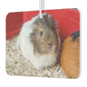 モルモットが檻の中に カーエアーフレッシュナー (左)