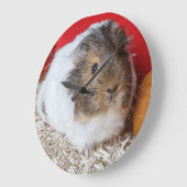 モルモットが檻の中に ラージ壁時計 (傾斜)