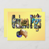 モルモットが言いたいことだ、ポストカード ポストカード (正面/裏面)