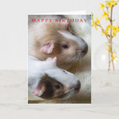 モルモットたちのお誕生日カード カード (黄色い花)