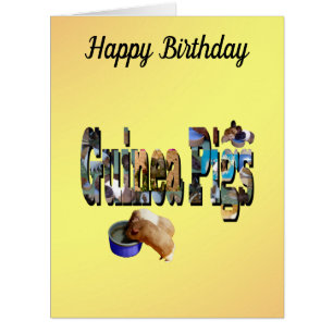 モルモットという言葉は誕生日・カード