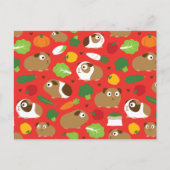 モルモットとそのおやつ ポストカード (正面)