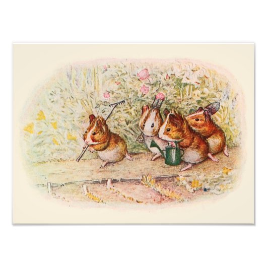 モルモットとガーデンツール フォトプリント            (正面)