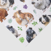 モルモットと多肉植物 薄葉紙 (詳細)