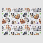 モルモットと多肉植物 薄葉紙 (正面)