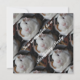 モルモットのお誘い 招待状