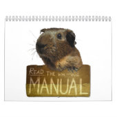 モルモットのカレンダー2013年 カレンダー (カバー)