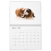 モルモットのカレンダー2014年 カレンダー (2月 2027)