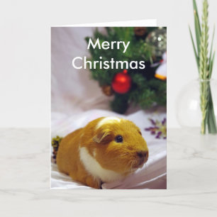 モルモットのクリスマスカード シーズンカード