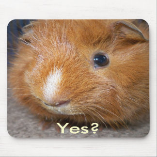 モルモットのマウスパッド マウスパッド