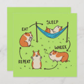 モルモットのライフサイクル (正面/裏面)