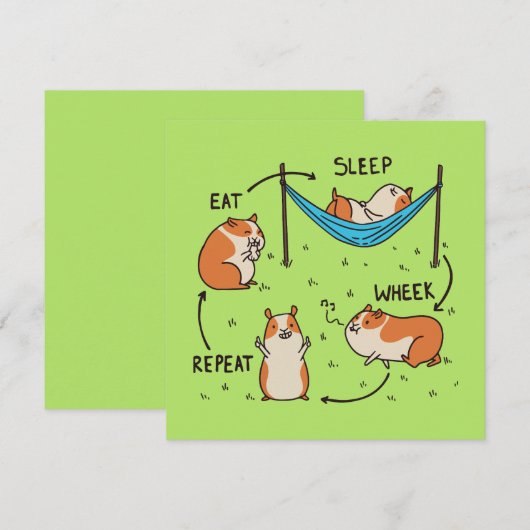 モルモットのライフサイクル (正面/裏面)