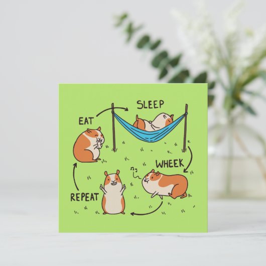 モルモットのライフサイクル (スタンド正面)