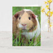 モルモットの写真の顔 カード (黄色い花)