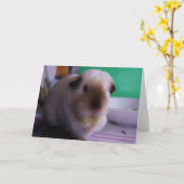 モルモットの挨拶状 カード (黄色い花)