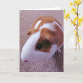 モルモットの挨拶状 カード (黄色い花)