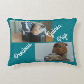 モルモットの枕 アクセントクッション (正面)