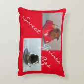 モルモットの枕 アクセントクッション (裏面(縦))