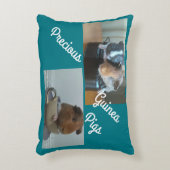 モルモットの枕 アクセントクッション (正面(垂直))