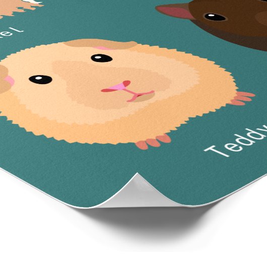 モルモットの種類一覧 ポスター (角)