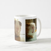 モルモットの表現: マグ (正面右)