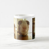 モルモットの表現: マグ (中央)