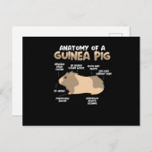 モルモットの解剖学 ポストカード (正面/裏面)