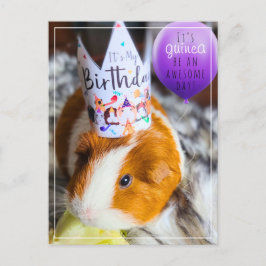 モルモットの誕生日ポストカード ポストカード